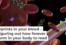 Figuring out which PFAS types are accumulating in your body is challenging. Love Employee/iStock via Getty Images Plus